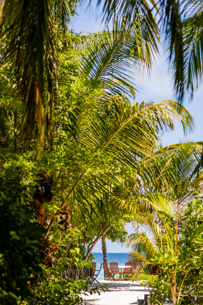 istock Maldives Dream Island 1214225588