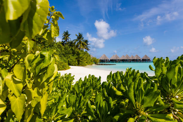 istock Maldives Dream Island 1214226238