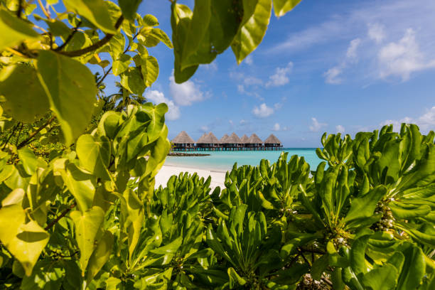 istock Maldives Dream Island 1214226279