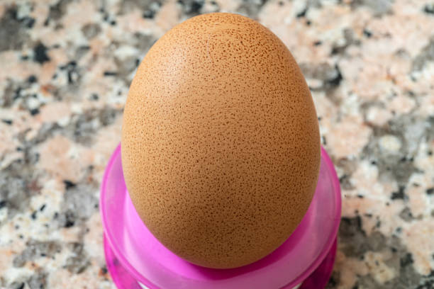 uova sode - hard cooked egg foto e immagini stock