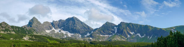istock Mountain range against the sky and forest on foreground 1214237478