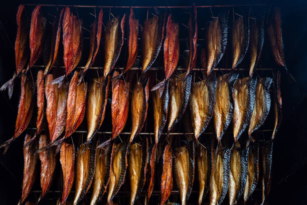 palenie filetów rybnych wiszących obok siebie u palacza. kawałki makreli wędzonej na zimno na sprzedaż na targu rybnym - fish market prepared fish seafood photography zdjęcia i obrazy z banku zdjęć