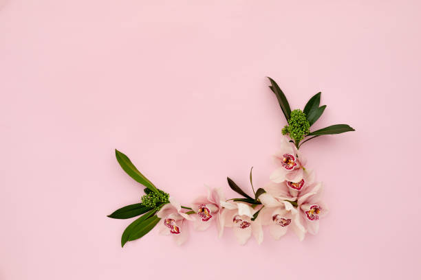 istock Floral composition. Frame of orchid flowers 1214240458