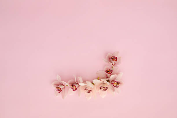 istock Floral composition. Frame of orchid flowers 1214240505