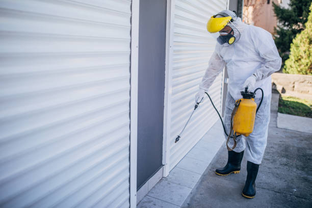 Man in protective suit disinfecting and spraying garage doors One man, man in protective suit, disinfecting and spraying garage doors outdoors. garage door opener photos stock pictures, royalty-free photos & images