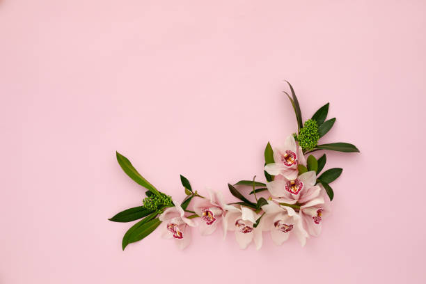 istock Floral composition. Frame of orchid flowers 1214240593