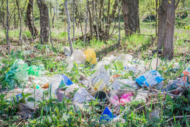 istock Minsk, Belarus - May 1, 2019: The problem of environmental pollution by plastic waste 1214244788