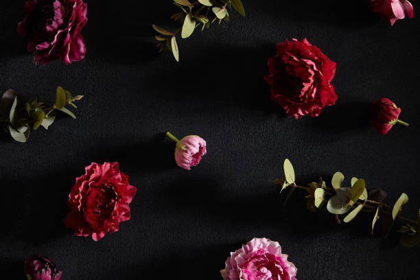 istock Moody floral concept - flower on dark textured background 1214244797