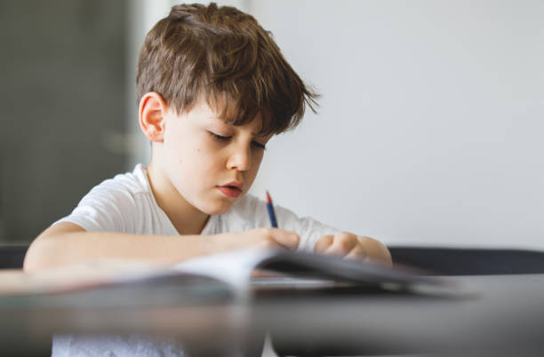 istock Portrait of schoolboy doing homework 1214245404