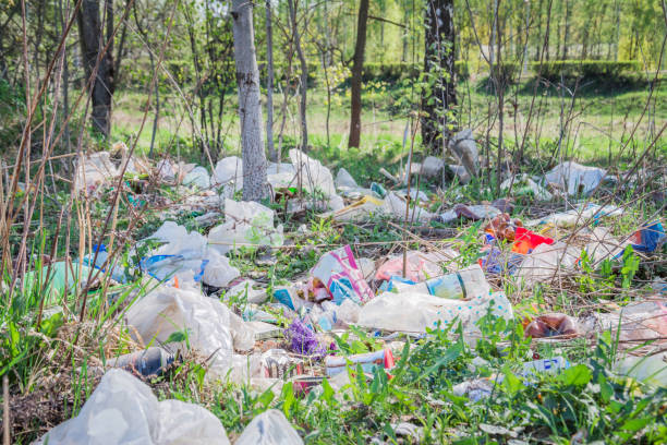 istock Minsk, Belarus - May 1, 2019: The problem of environmental pollution by plastic waste 1214245846