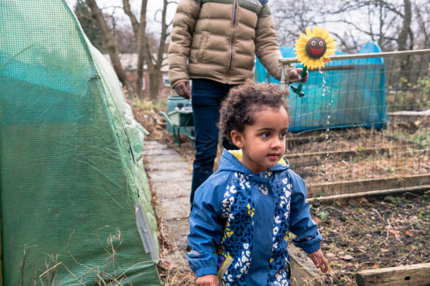 istock A day in The Allotment 1214245910