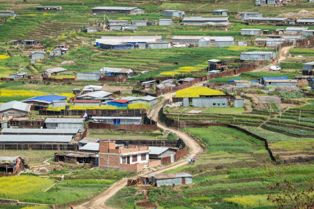 istock Dirt Road through the Terraced Hillsides 1214245985