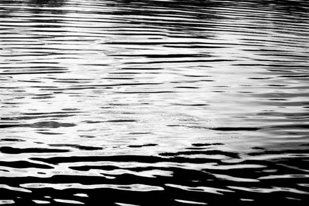 istock black and white water texture. background for the designer 1214248462