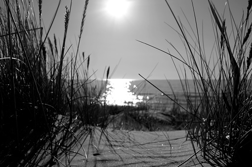 Dreamlike view from the dunes over the calm Baltic Sea