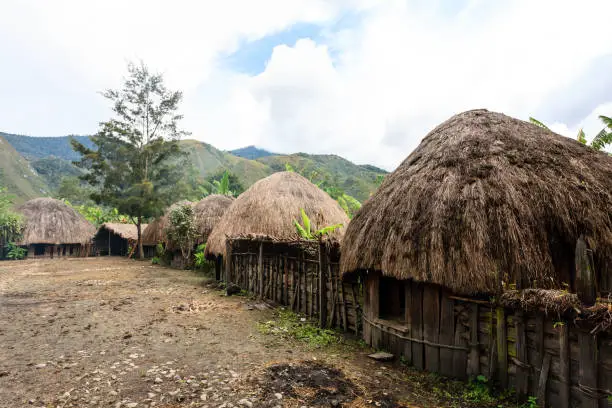 Photo of Traditional Dani village in Papua New Guinea, Wamena, Indonesia.