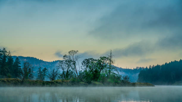 istock Mud Bay Kayaking At Sunrise With Fog 1214253132