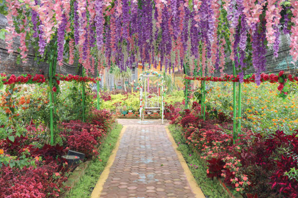 istock Very beautiful garden decoration flower 1214255023