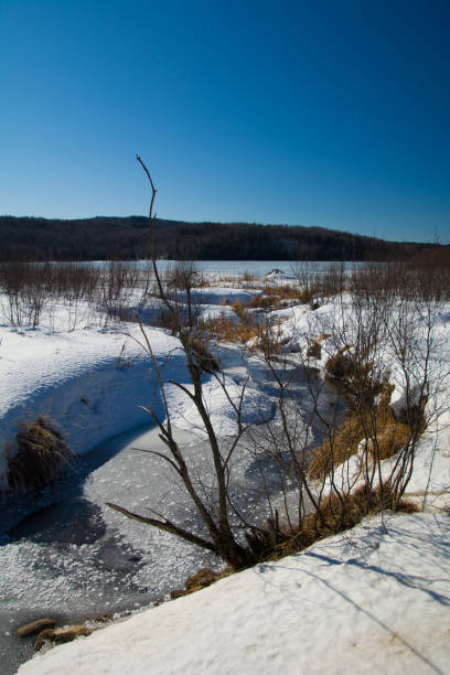 istock Beautiful stream in forest in Canadian winter in Quebec 1214257032