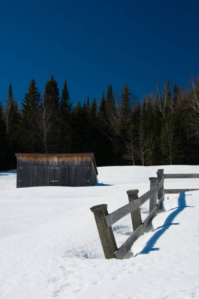 istock Snowy fields in Canadian winter with an old fence 1214257079