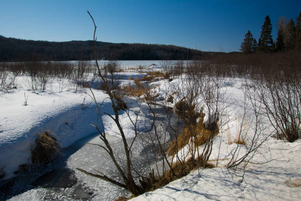 istock Beautiful stream in forest in Canadian winter in Quebec 1214257082