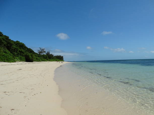 Fantastic beach on Green Island Australia