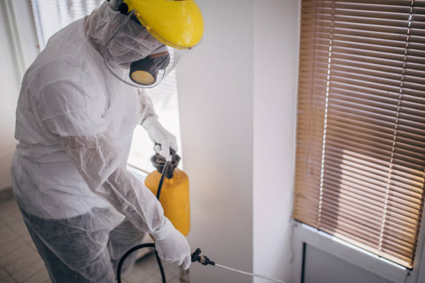 istock Man in protective suit disinfecting and spraying every room in the building 1214263696