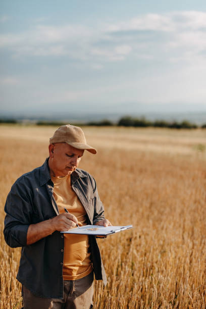 istock A farmer in a grain field 1214265173