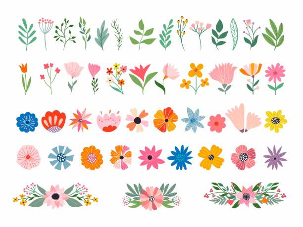 ilustraciones, imágenes clip art, dibujos animados e iconos de stock de colección de flores y plantas aisladas en blanco - técnica de ilustración