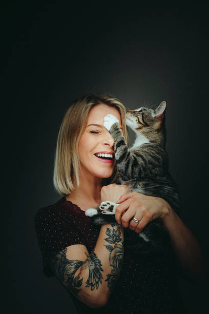 Young attractive woman holding cute kitty stock photo