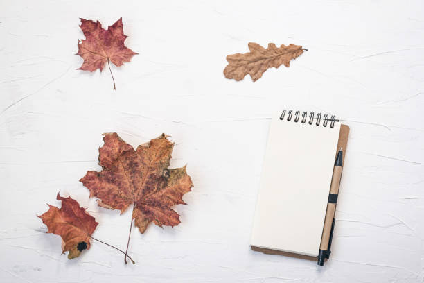 istock Blank sheet clipboard with copy space for text. Dry leaves on white background. Flat lay, template for social media, 1214270518