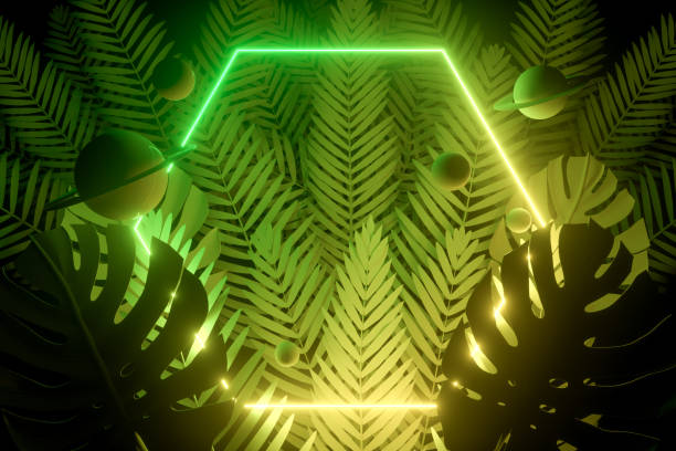 istock 3d Empty Frames with Neon Lights and Palm Tree on Background, Summer Concept 1214272347