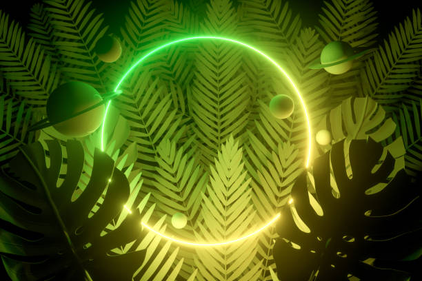 istock 3d Empty Frames with Neon Lights and Palm Tree on Background, Summer Concept 1214272534