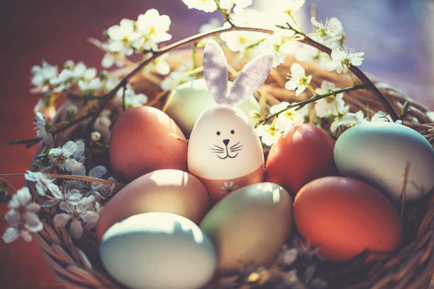 decorazione pasquale con coniglietto pasquale artigianale nel nido soleggiato - easter bunny easter grass sunlight foto e immagini stock