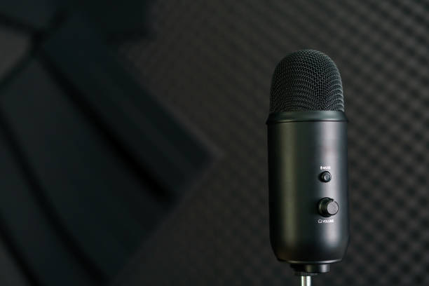 istock Close-up of professional condenser microphone on a black background. 1214274088