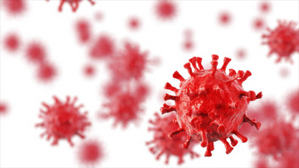 istock Coronavirus infection medical illustration. Microscope virus close up. 3D rendering. 1214275806