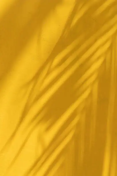 Photo of Creative tropical leaf shadow on yellow wall background