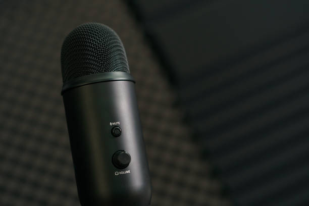 istock Close-up of professional condenser microphone on a black background. 1214276408