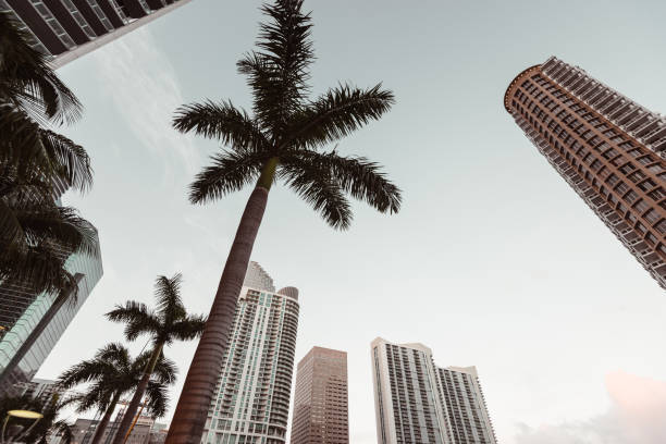 istock downtown of miami skyscraper 1214277229
