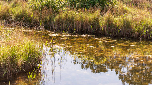 istock degree lagoon landscape, Gorizia 1214278925