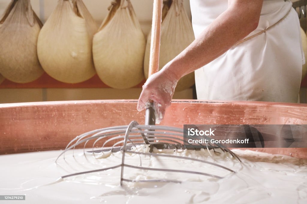 Close up of a cheesemaker is preparing  a form of Parmesan cheese using fresh and biologic milk Close up of a cheesemaker is preparing  a form of Parmesan cheese using fresh and biologic milk following the ancient Italian tradition in a dairy factory. Cheese Stock Photo