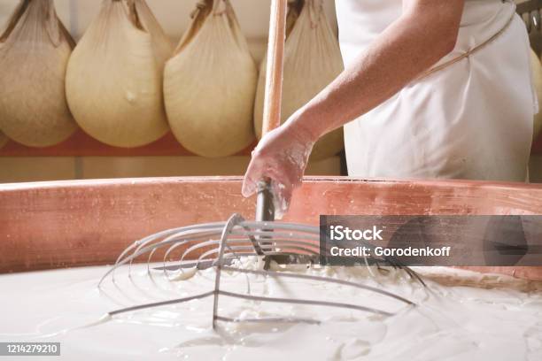 Close Up Of A Cheesemaker Is Preparing A Form Of Parmesan Cheese Using Fresh And Biologic Milk Stock Photo - Download Image Now