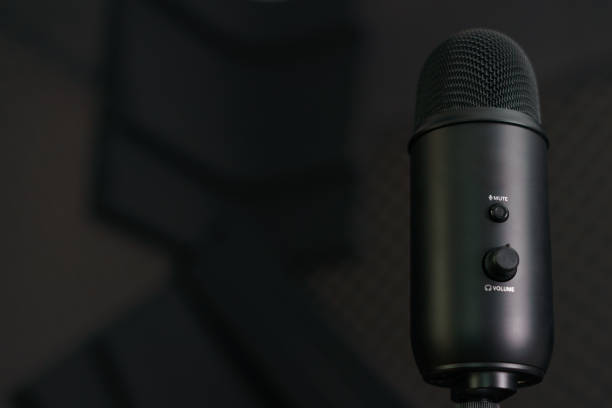 istock Close-up of professional condenser microphone on a black background. 1214280114
