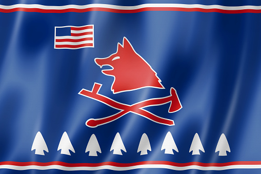 Pawnee people ethnic flag, USA. 3D illustration