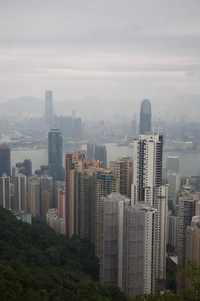 istock Hong Kong skyline from Victoria Peak 1214284919