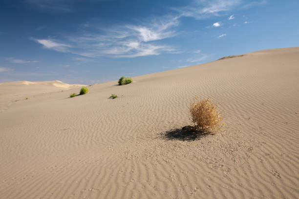 istock Gobi Desert Singing Sand Dunes 1214284993