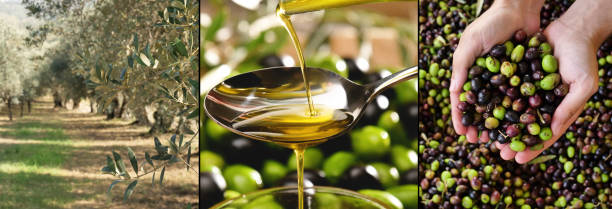 mezcla escenas de aceitunas y aceite de oliva. - condiment healthy lifestyle vinegar cooking oil fotografías e imágenes de stock