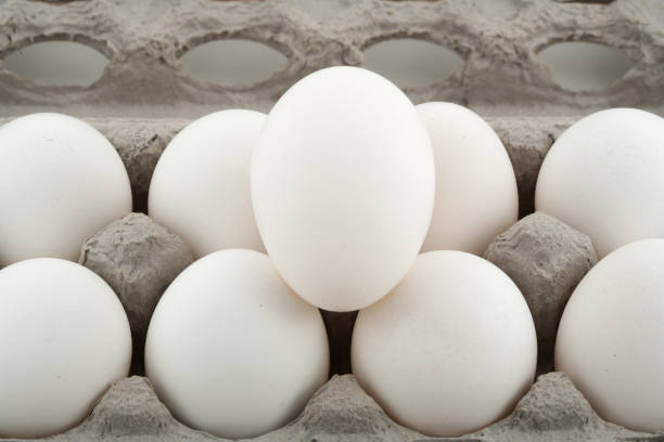istock Close up of a tray with white eggs 1214285869