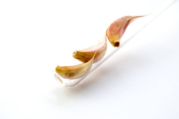 Garlic Confit Roasted in Olive Oil with toasted Baguettes