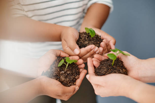 istock We all have to start somewhere 1214287684