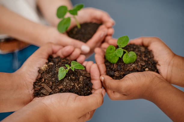istock Growth is inevitable when we’re all working together 1214287703